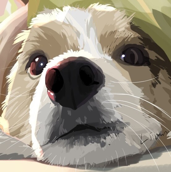 パソコンやスマホの壁紙などに！愛犬イラスト描きます コントラストがある、太陽を浴びたような明るい絵が特徴的です。 イメージ6
