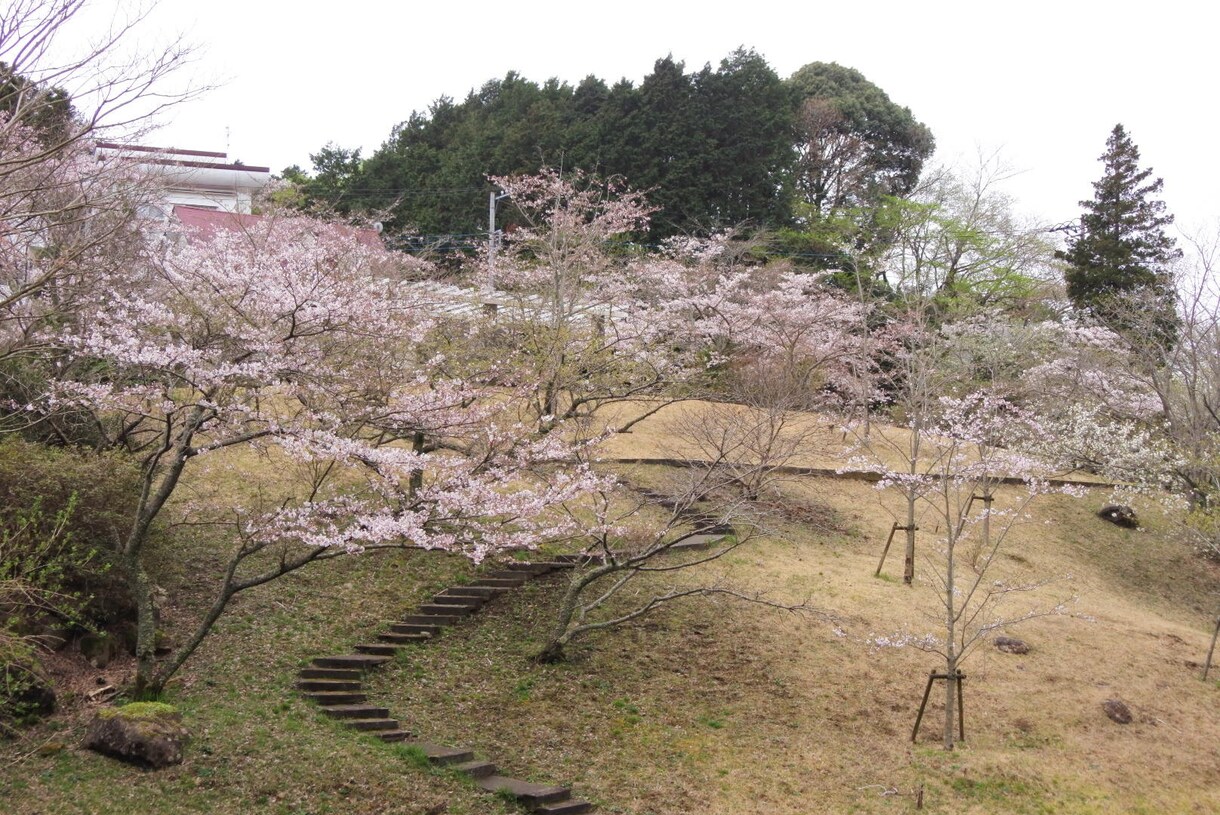 静岡県東部(特に函南町)へ移住のご相談承ります 函南町から首都圏へ新幹線通勤の経験をもとにご回答します。 イメージ2