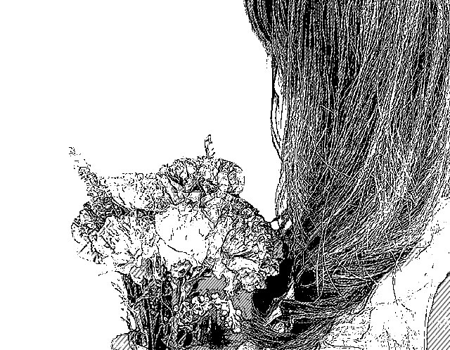 写真を元にイラスト/アイコンにします 好きな写真をイラストに！アイコン、商用利用、コピーOK☆ イメージ4