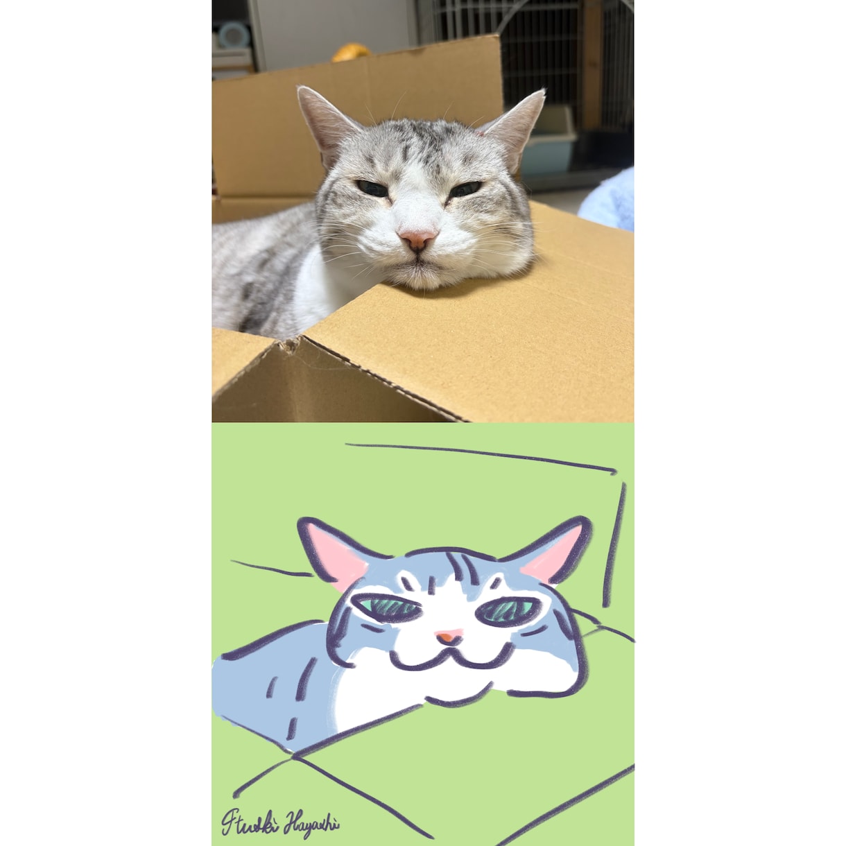 猫ちゃんのイラスト描きます SNSのアイコンやうちの子のイラストが欲しい方向け イメージ4