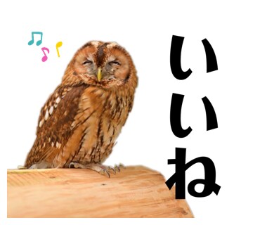 お写真を使って、オリジナルLINEスタンプ作ります 出来上がりのイメージを共有し、使いやすいスタンプを作成します イメージ3