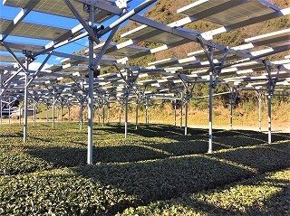 太陽光発電のサポートします 住宅・産業用・ソーラーシェアリングなど一式対応します イメージ5
