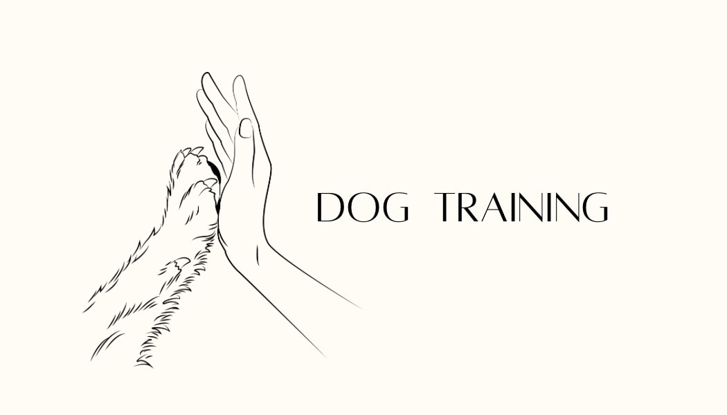 愛犬の『困った行動』に寄り添いアドバイス致します 愛玩動物看護師が“根拠あるしつけ”でサポートします。 イメージ1