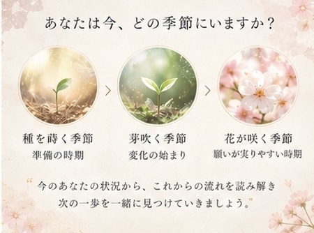 透視で今を視つめ「花が咲く季節」を読み解きます 頑張っているのに報われないあなたへ。今は種を蒔く季節かも イメージ5