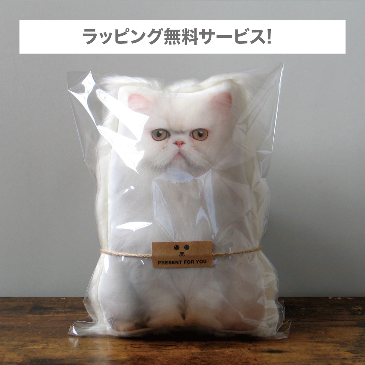 ペットロス　うちの子（犬　猫）のぬいぐるみ作ります 裏面のファーが、虹の橋を渡ったウチの子を撫でている様な感覚に イメージ6