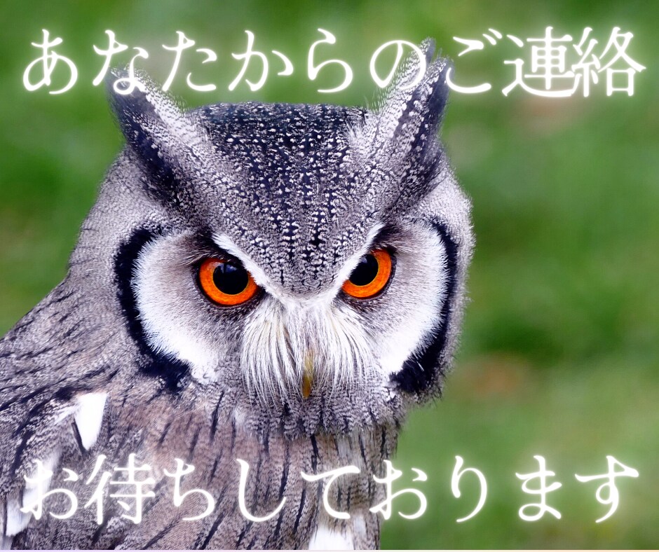 自慢話、なんでも聞きます 羨ましがられたい人、この指とまれ！ イメージ8