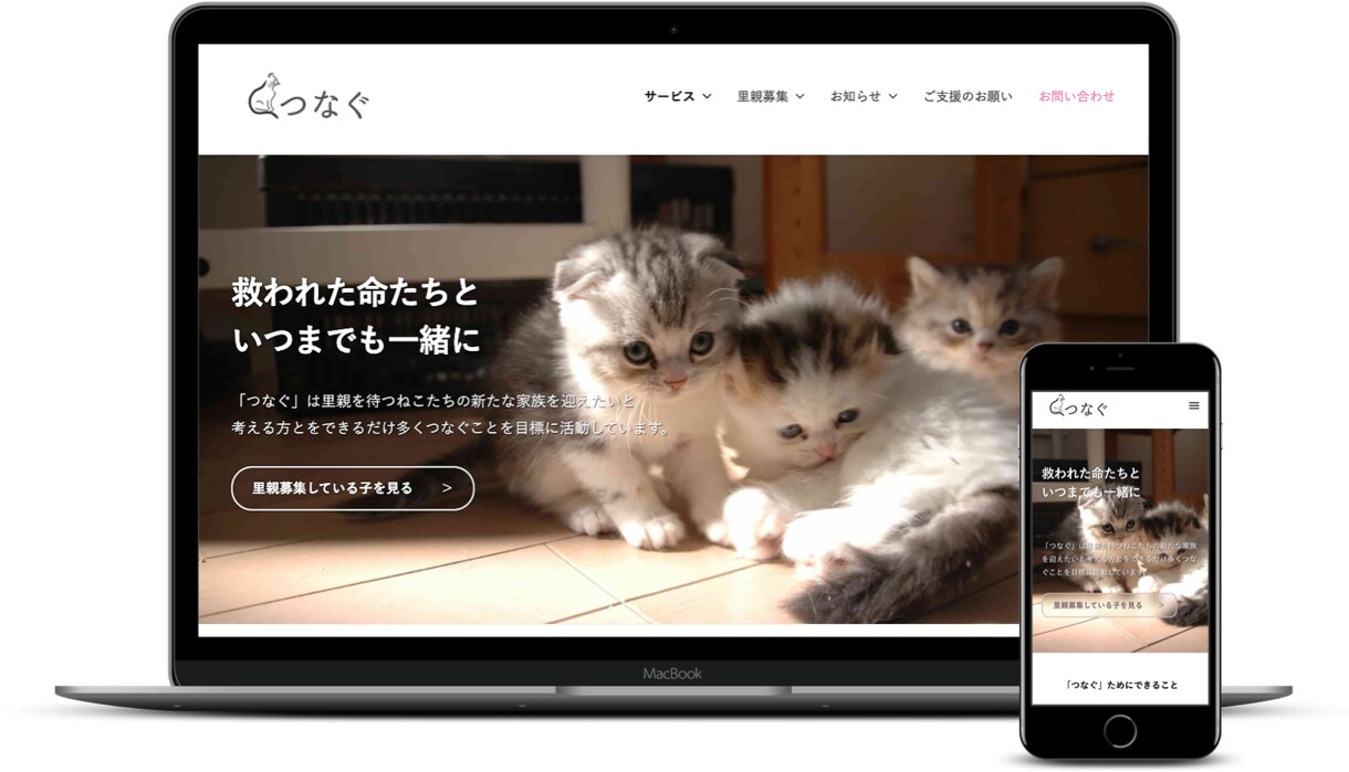 可愛い猫ちゃんページをWordpressで作ります 低予算でも本格的な猫ちゃんページを猫派のあなたに イメージ2