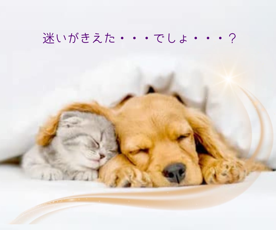 心がこわれそうな時✨不安を確かな自信へ✨と導きます タロットたちや九星が潜在意識へ紡ぐ✴️未来覚醒リーディング イメージ10