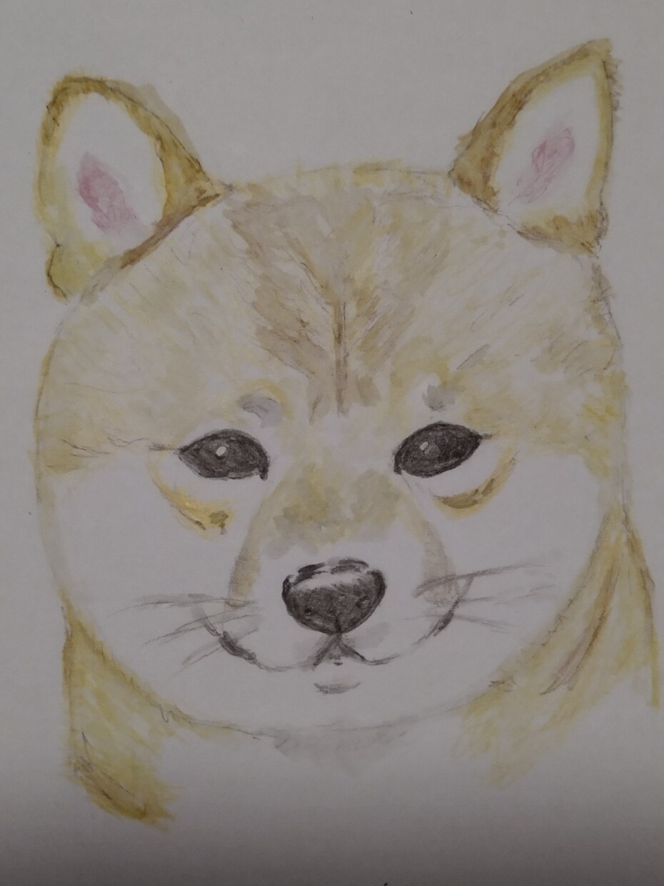 ワンちゃんのイラストを水彩色鉛筆で描きます 一点一点、気持ちを込めて描きます。 イメージ3