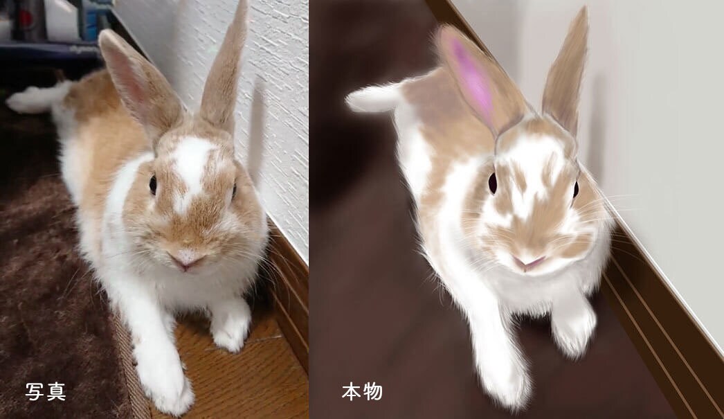 お客様のご希望に沿うようなイラストを描きます かわいいイラストからリアルなイラストまでなんでも描きます イメージ9