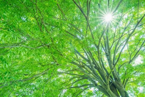 目から鱗!幸福なうつ病治療「薬要らず」お伝えします ADHDにもアプローチ可能。幼児〜高齢者まで治療可能です。 イメージ4