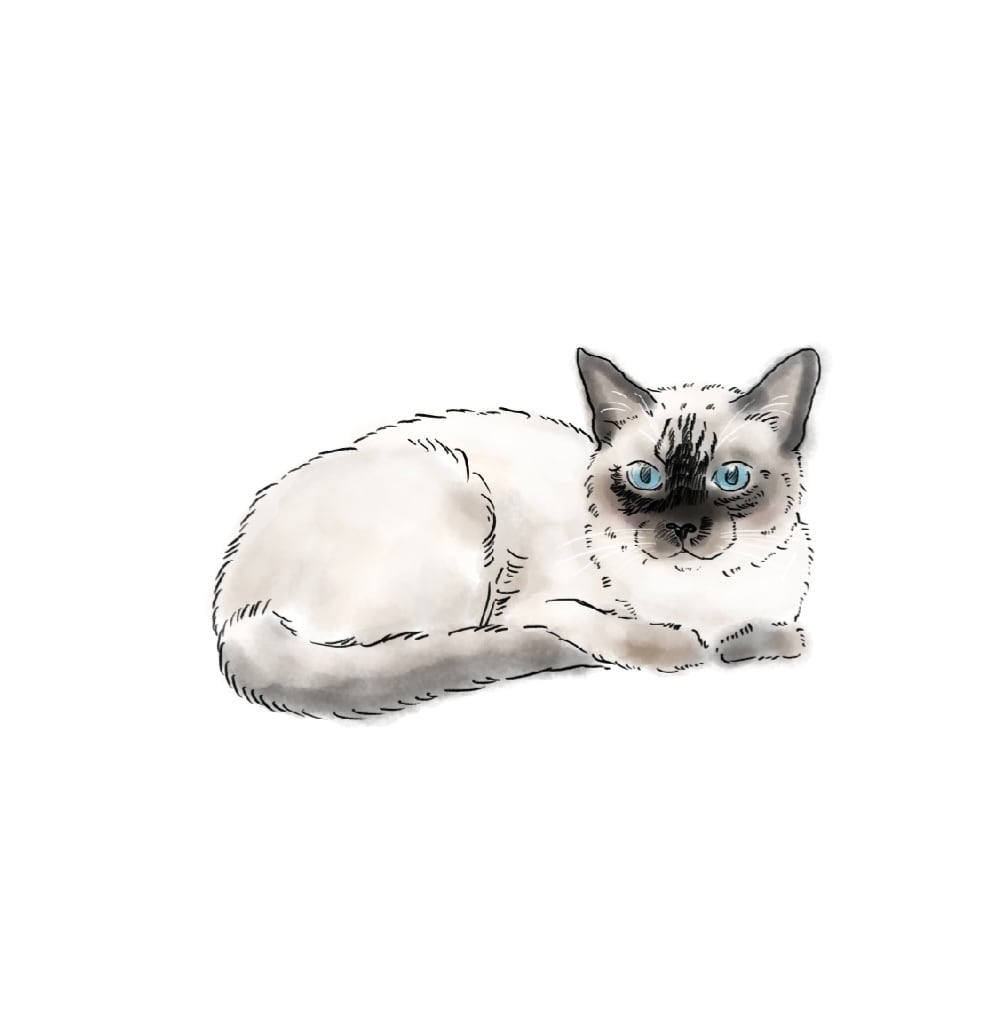 SNSアイコンに！優しい似顔絵描きます 人物追加OK！アイコンや思い出のギフトに。温もりある一枚を。 イメージ2