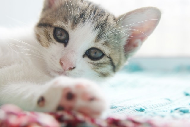 自分の事を知りたいあなたへ。数秘術で読み解きます 是非是非、自分の事を知るきっかけにご活用下さいませ☆ イメージ3