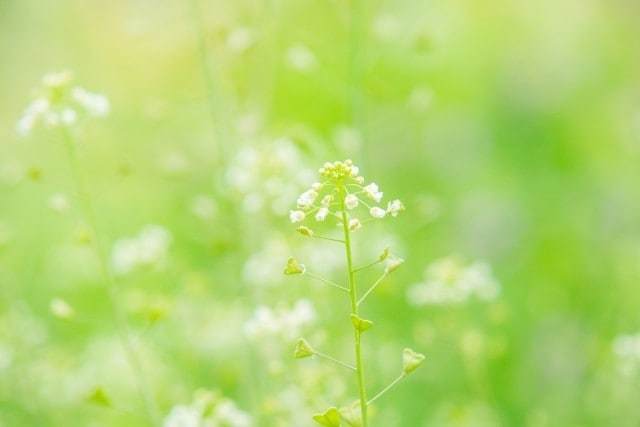 西洋占星術であなたの才能・天職を詳しく鑑定します 【鑑定書付き】適職・仕事運・転職のタイミングまで読み解きます イメージ8