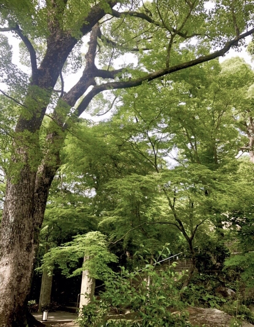 今、１番あなたに必要なメッセージ、授けます ✨宇宙がどうしても伝えたがっている、運命が変わるココ1番！！ イメージ5
