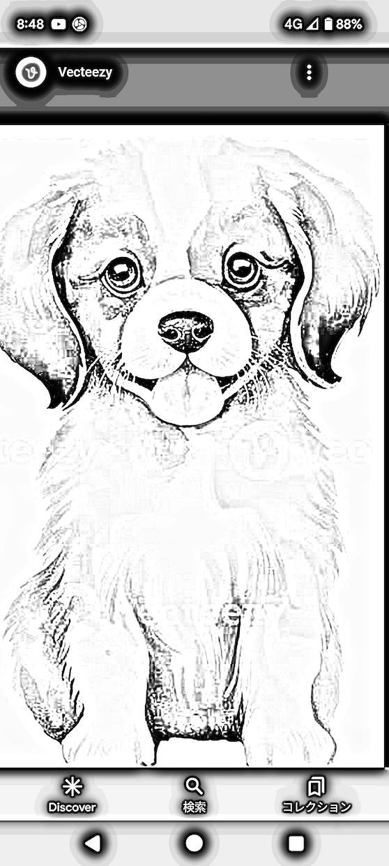ペット写真イラスト風スケッチ風にしあげます ペット飼い主さんの写真を、イラスト、スケッチ風にしあげます。 イメージ2