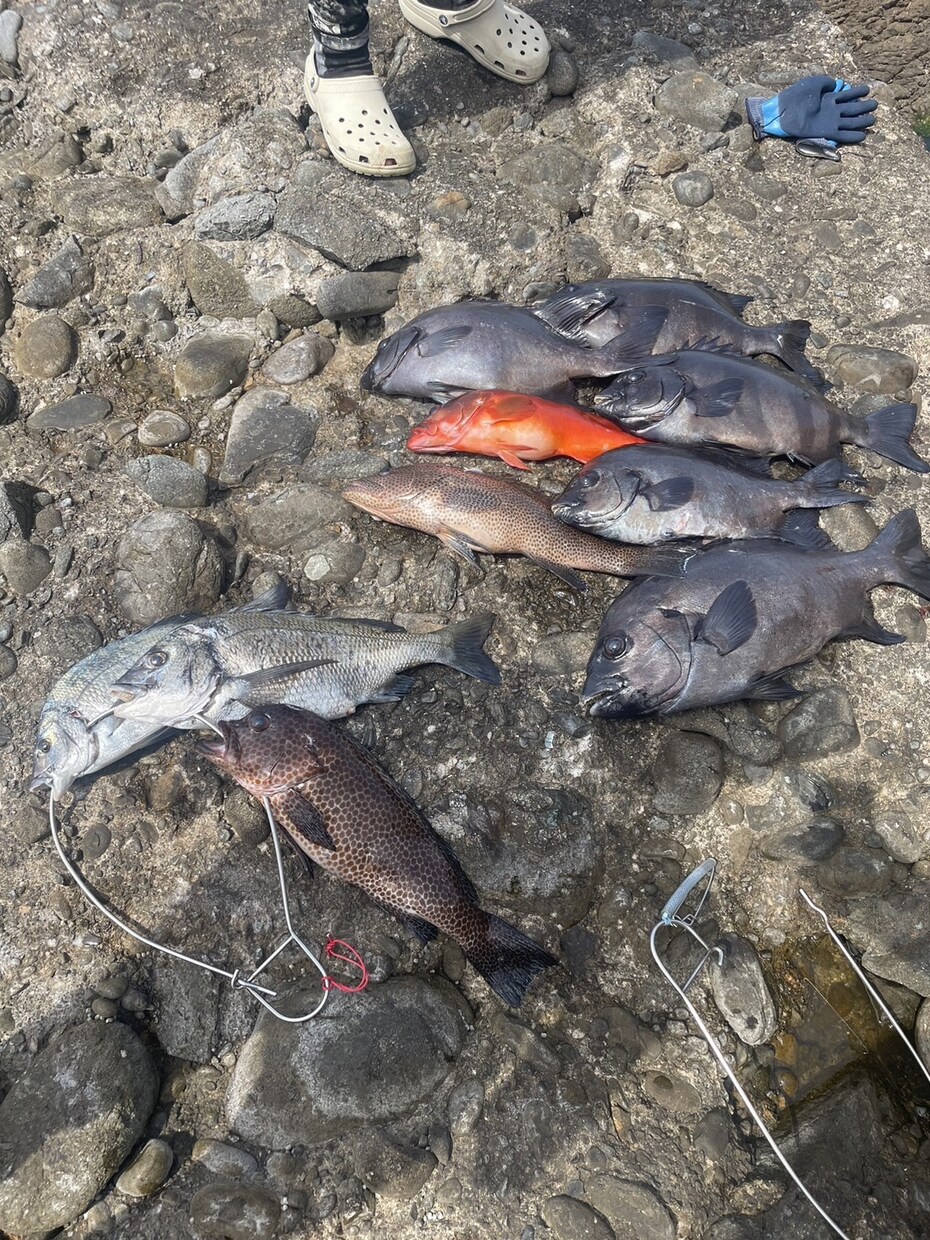 初めての魚突きをゼロからサポートします 経験者が安全な始め方と道具選びを丁寧にサポート イメージ1