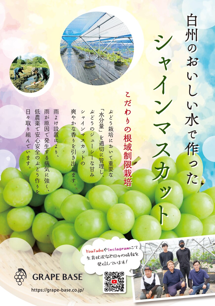 シンプルなチラシを安くご提供いたします 簡単なものをリーズナブルに作ってほしい！という方必見！ イメージ5