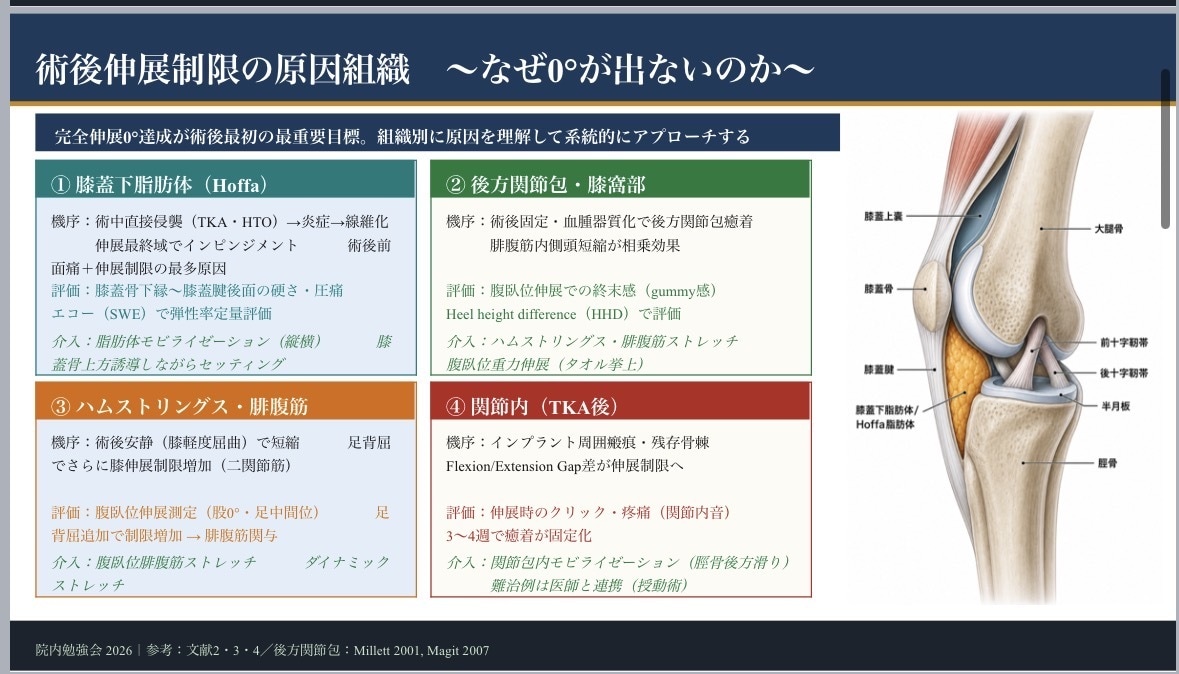 整形外科PT歴9年勉強会院内研修スライド作成します 整形外科理学療法士｜膝関節専門・勉強会講師 イメージ3