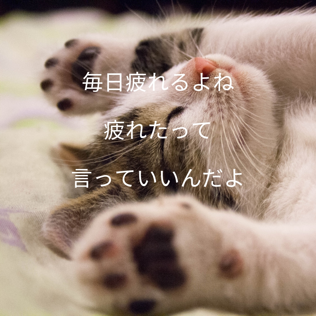 女性限定♡家事、育児、仕事で疲れたあなたを癒します 女性限定♡愚痴、悩み、あなたの話なんでも聞くよ イメージ7