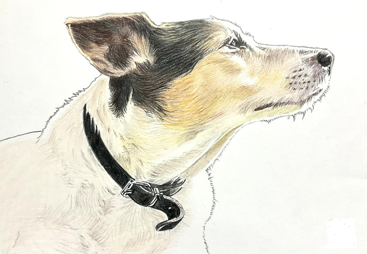 ペット似顔絵を色鉛筆で2Lサイズに描きます 写真を元に色鉛筆でペットの似顔絵をリアルに描きます。 イメージ3