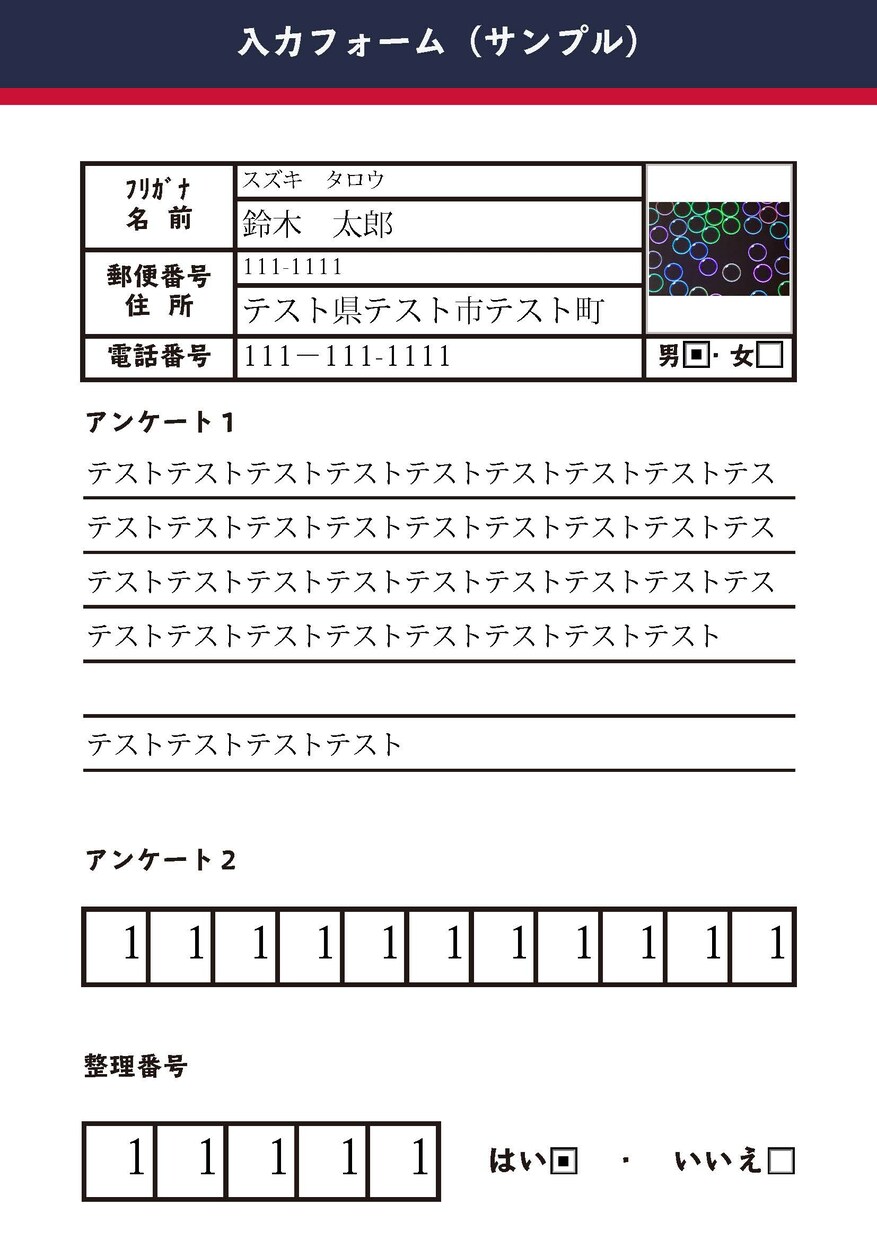 PDFに入力フォームを作成します 既存のPDF、画像に入力フォームを導入しPDF化します。 イメージ3