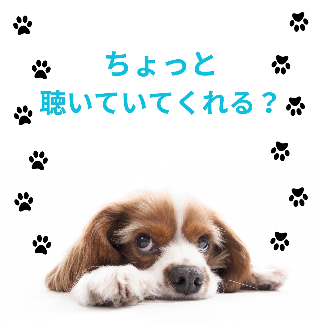 話せばきっと心が軽くなります ✩誰にも言えないここだけの話。声に出してストレス発散✩ イメージ1