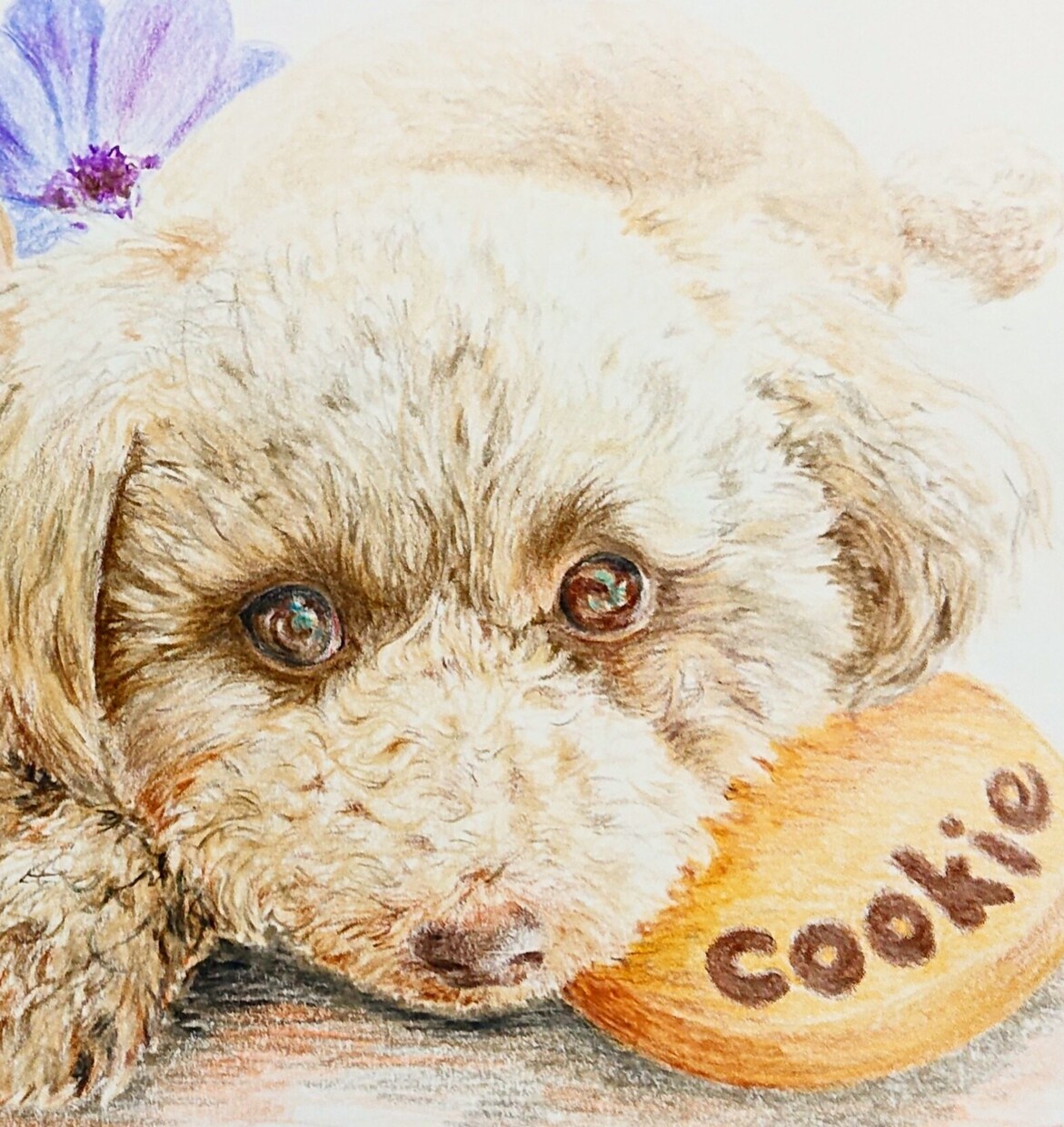 色鉛筆でリアルなペットの絵をお描きいたします リアルで力強く、かつ優しいペットの絵の原画をお送り致します。 イメージ3