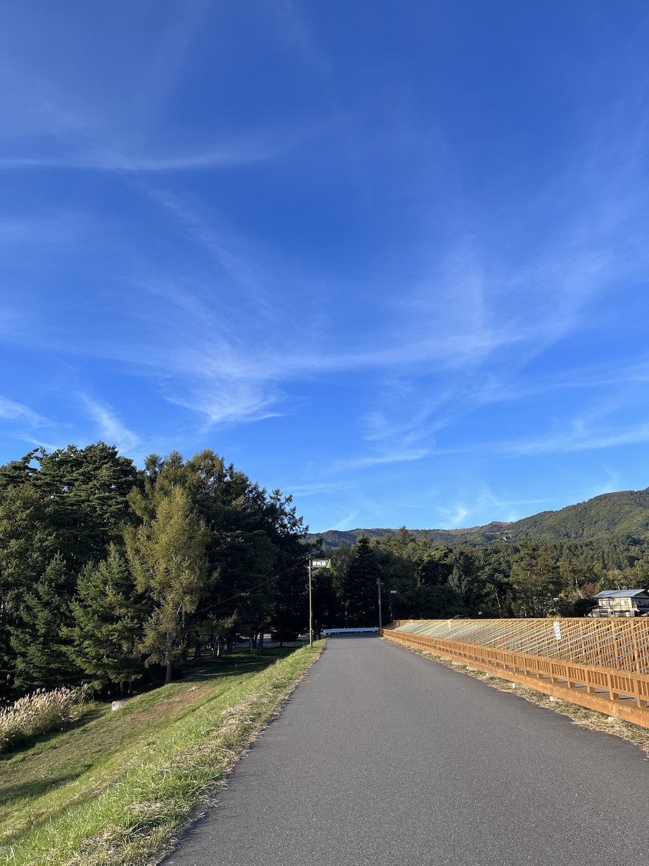 Ｍ様限定☆タロットであなたの運勢を占います チャット占いです★一般の方のご購入はできません イメージ1
