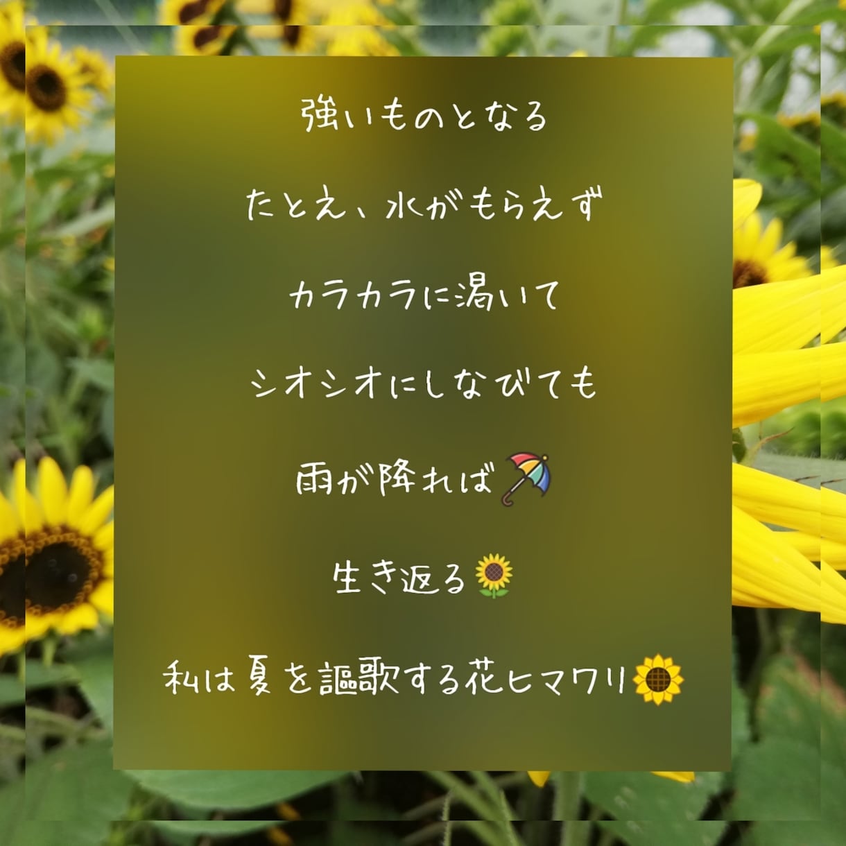 女の事は女にしか解らないってしってます 女同士の女だけのお悩み相談部屋どうぞ、いらっしゃいませ。 イメージ3