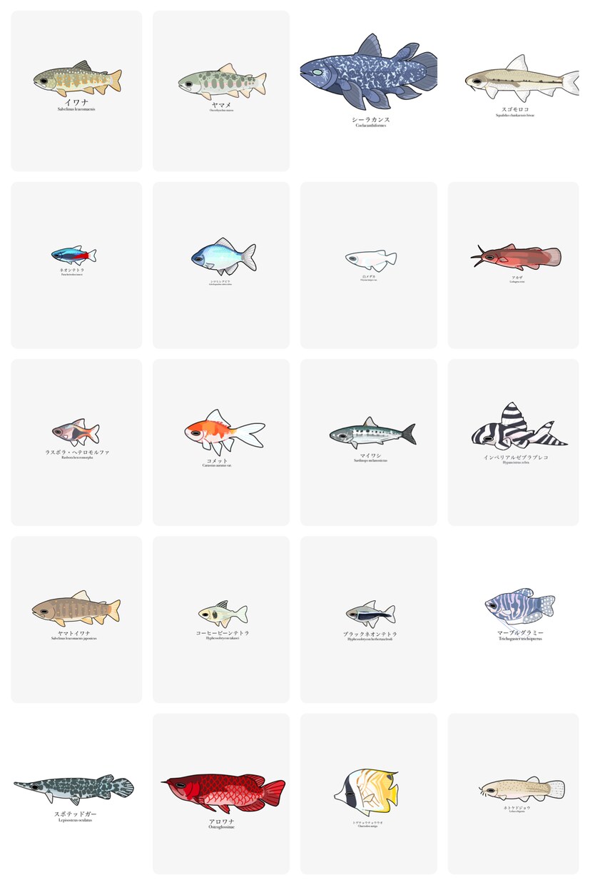 魚のイラストを作成します 魚好きがあなただけのお魚イラストを描きます イメージ10