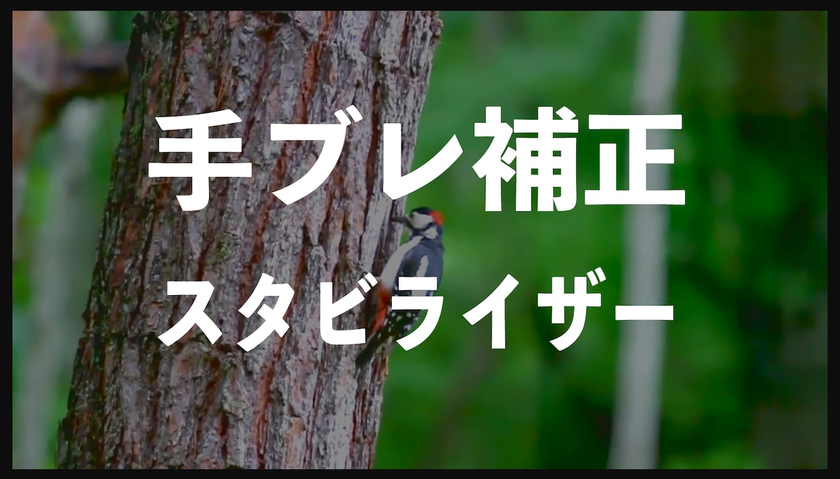 手ブレ補正します 手ぶれ補正のみをする単体商品です。 イメージ1