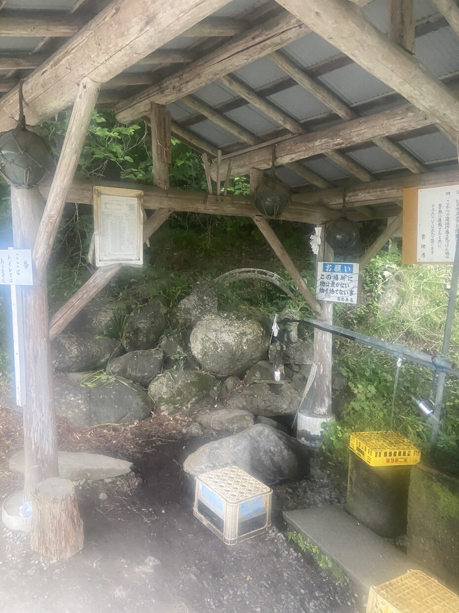 誰かと気兼ねない会話をしたい方！私が聞きます 「ちょっと変わった話もできる、気楽な相談相手」☆♪ イメージ4