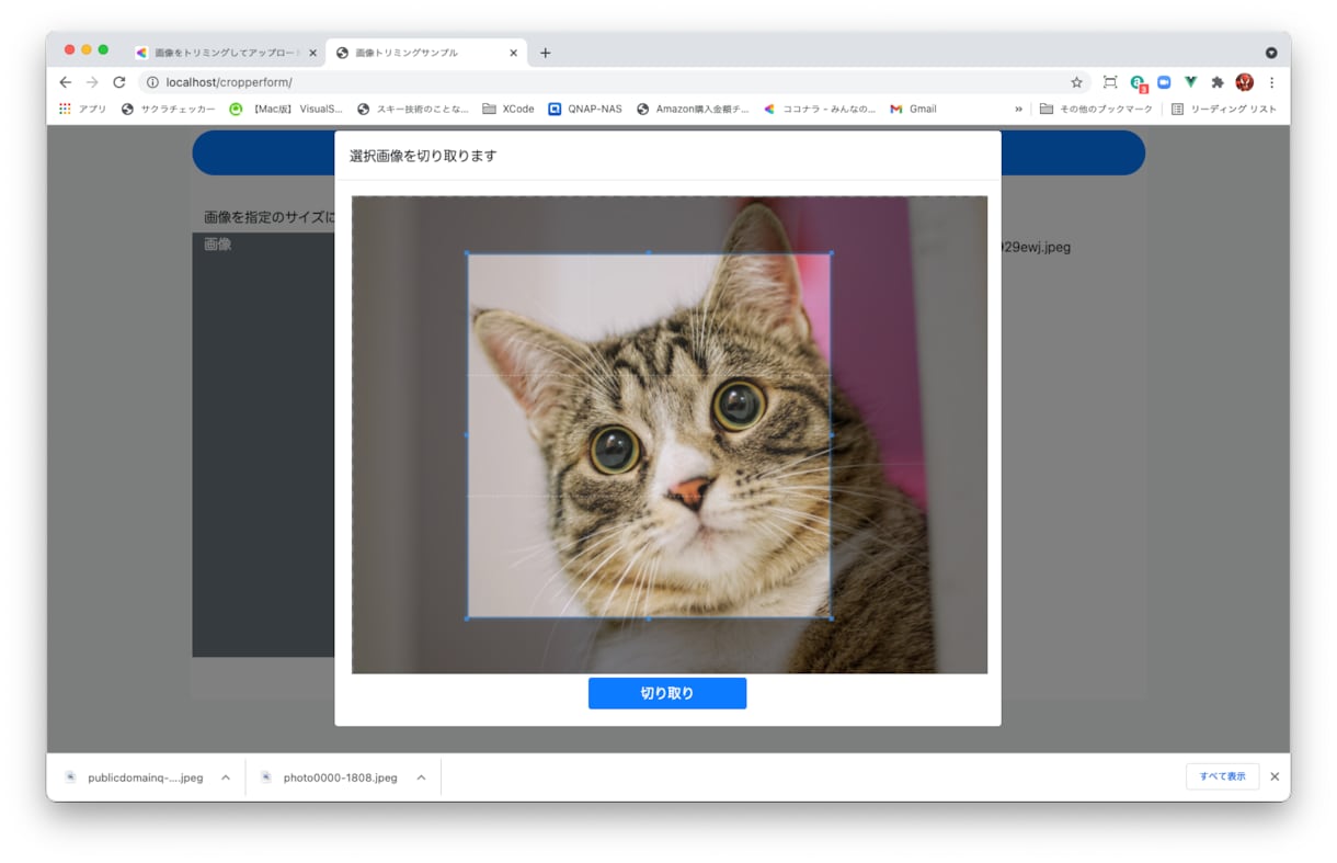 画像をトリミングしてアップロードできます 画像をトリミングしてアップロードするシステム作ります。 イメージ1
