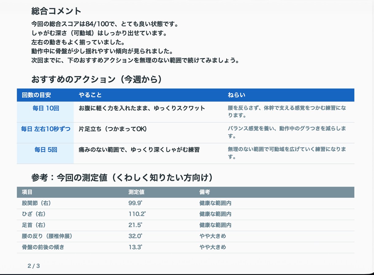 OpenCap動作解析をPDFレポート化します 5動作対応。ROM・左右対称性・所見コメント付きPDF作成 イメージ9