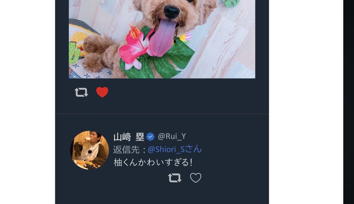 感動するオープニングムービーを制作します 幸せな舞台を、色あせない記憶へ。 イメージ2