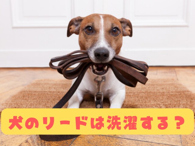サムネイル１枚と挿入画像４枚納品します ブログで使う一式を格安で制作します！ イメージ7