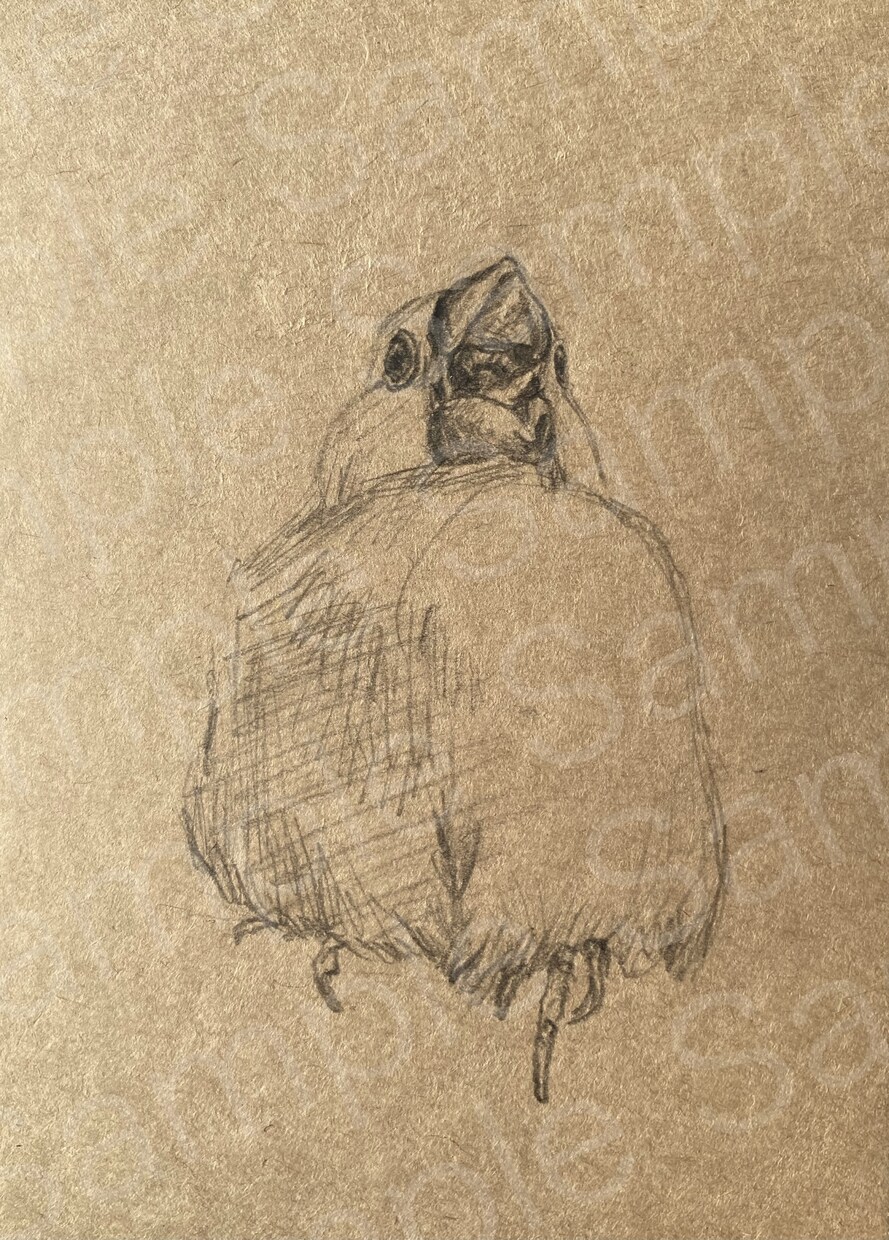 鉛筆でぬくもりを感じる動物の似顔絵を制作します 【葉書サイズ手描き鉛筆画】インテリア、贈り物、アイコン等に イメージ7