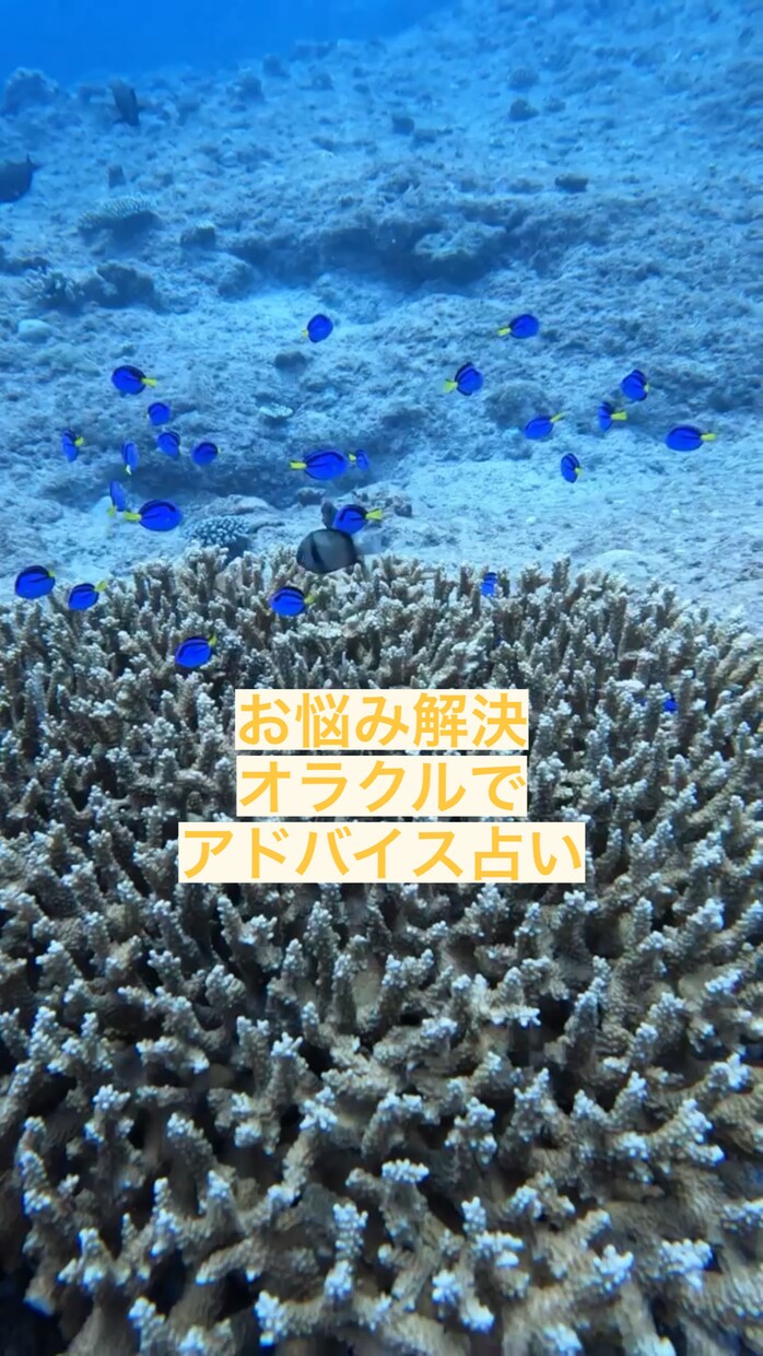 オラクルカードで占いします 幸せへの導き✨お悩み解決！心が楽になる様にアドバイス！ イメージ1