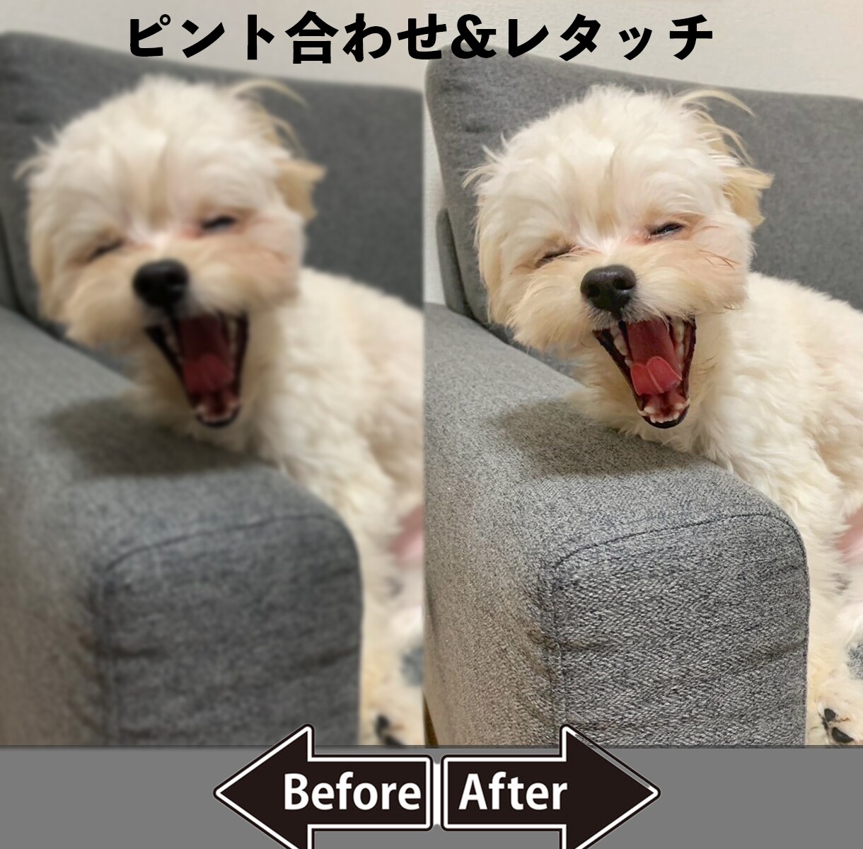 お写真を最高で満足な一枚にレタッチ編集をいたします 写真の事なら何でもお任せください！最高と満足を提供します イメージ5
