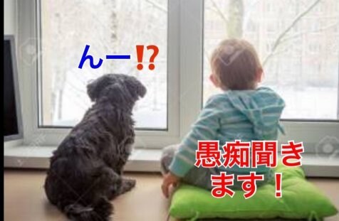 気楽に声掛け下さい！あなたの愚痴聞きます 自由業の自営業です、基本、いつでも大丈夫ですが、まずご連絡！ イメージ1