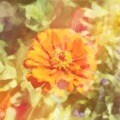 魂のブループリント✴︎思い出すお手伝いします 何をするために生まれてきたの？魂の目的を思い出しませんか？ イメージ1