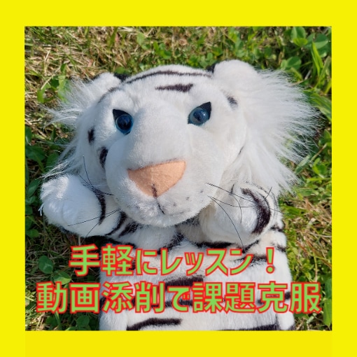 リピーター続出！のレッスンをココナラで開始致します ✨スコア100以上の方向け動画添削レッスンです✨ イメージ8