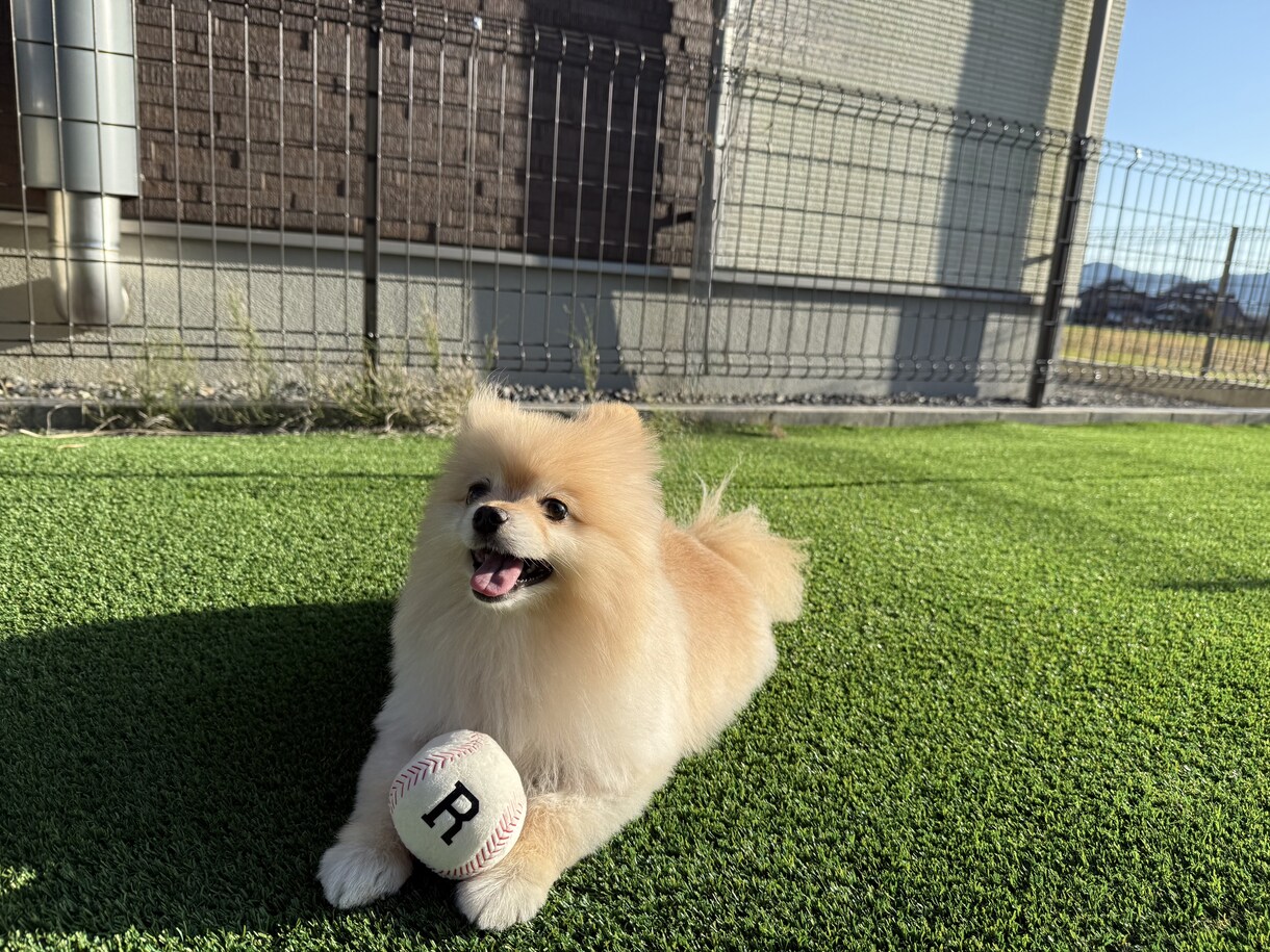 悩み相談・愚痴聞きします 一人で抱え込まず気軽にお話しください、いつでも寄り添います イメージ2