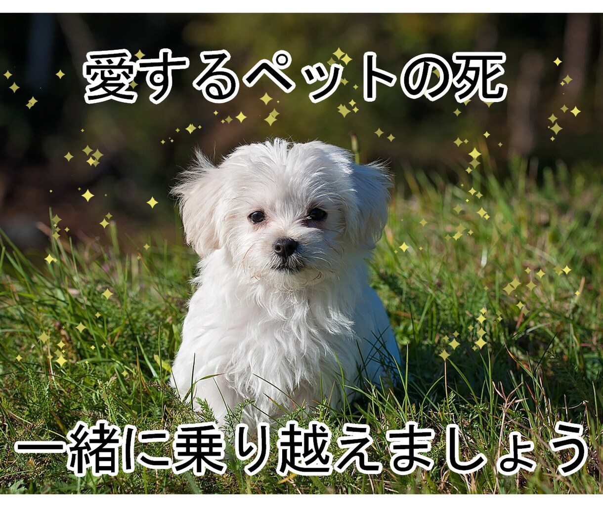 愛するペットを失ったあなたに寄り添います 悲しい気持ち、寂しい気持ち、我慢しなくていいんですよ。 イメージ1