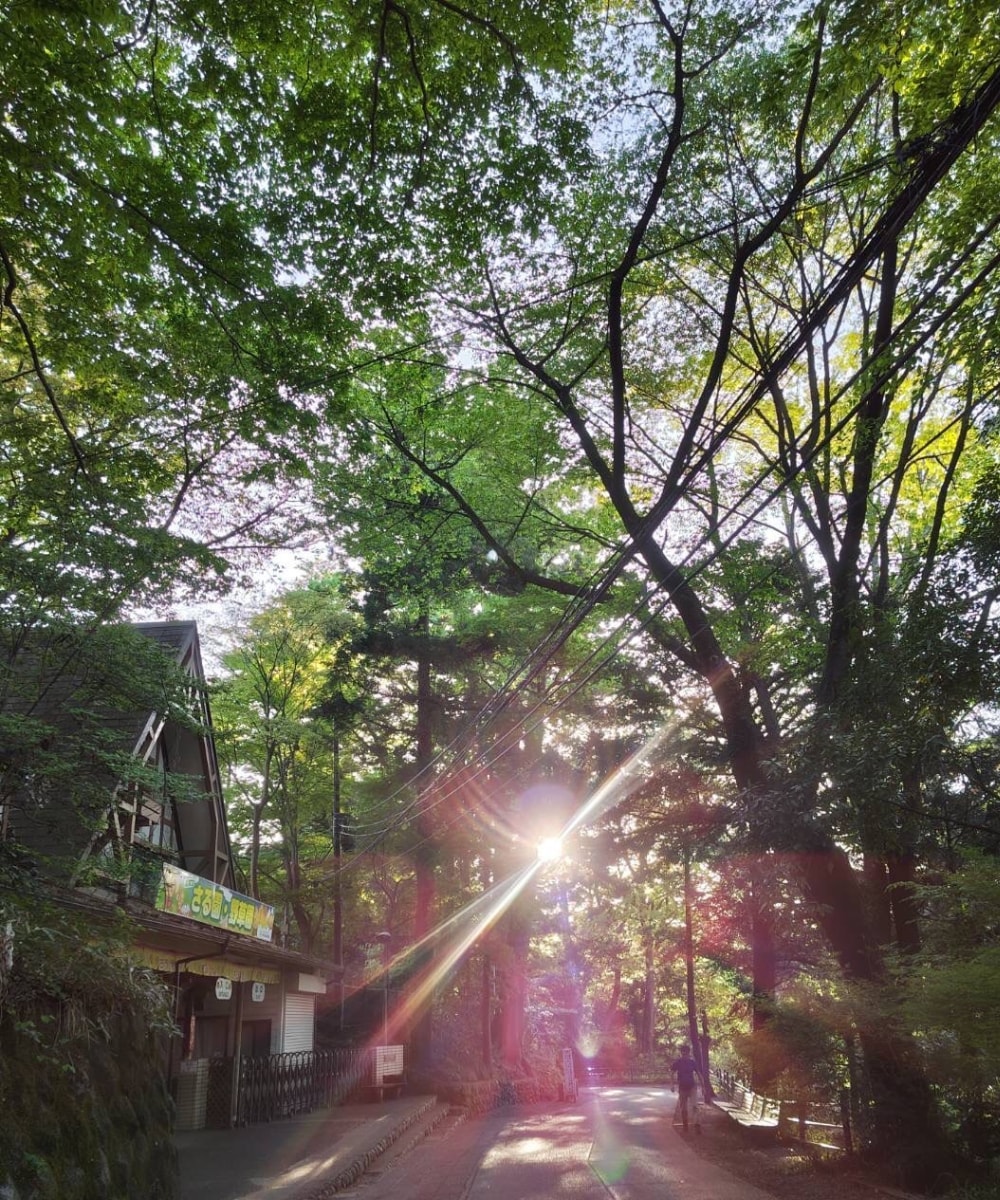 繊細さんのお話聞きます 繊細なところとそうでもないところそれぞれあり、お話しましょう イメージ3