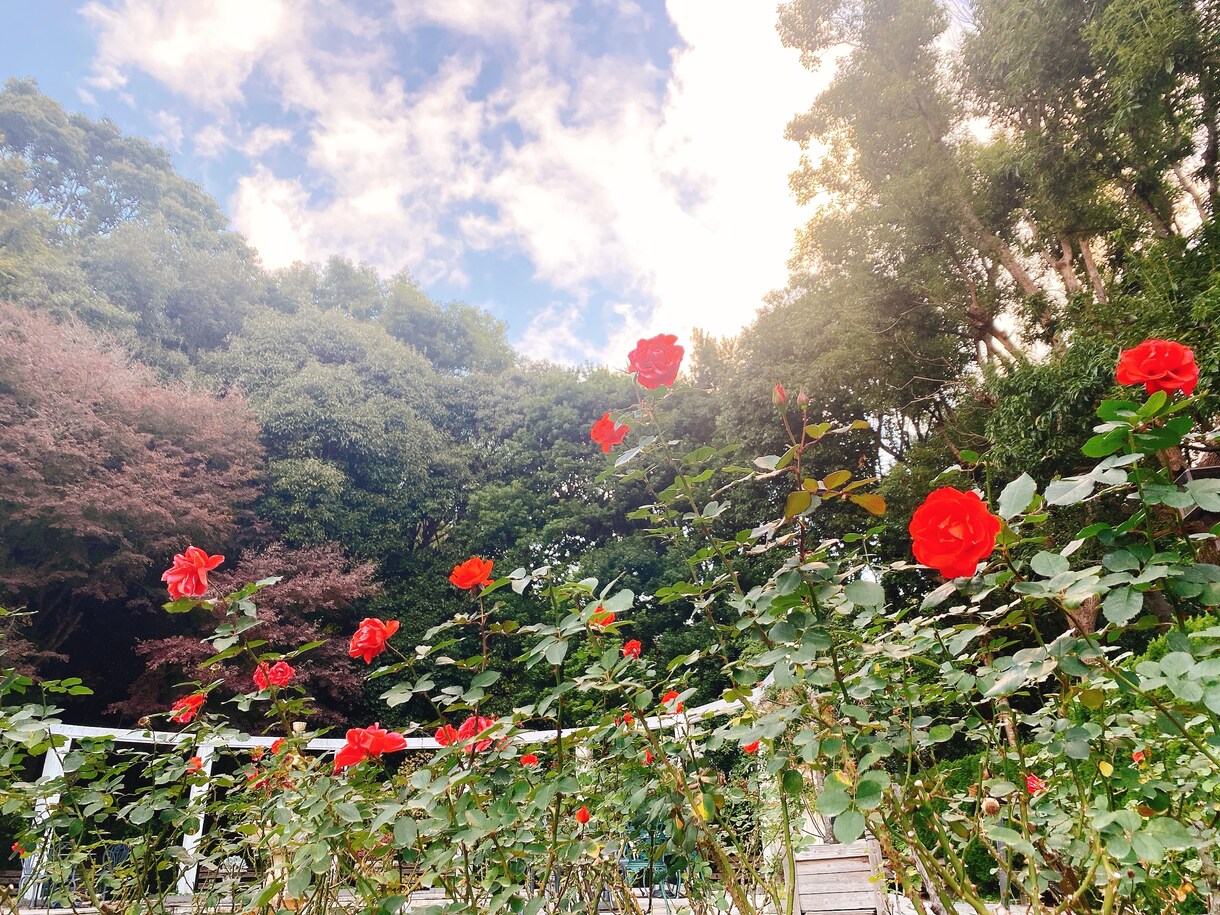 悩み聞きます 仕事職場での悩みを色々言われてきた私が聞きます イメージ1