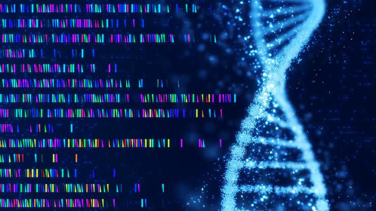 大人もOK！高校生物教えます 苦手意識がある人向け！じっくり付き合います！ イメージ5