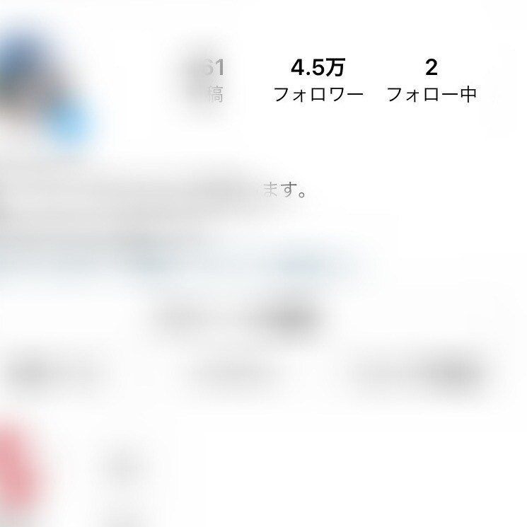 期間限定！！フォロワー4万人がPRします 実績10人行くまで！40歳以下へのPR承ります(*´꒳`*) イメージ1