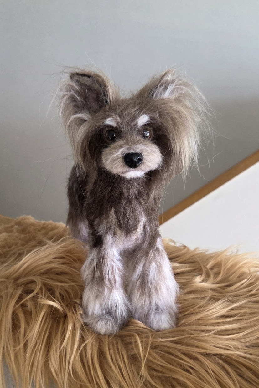 大切な愛犬さんをお作りします 世界にたった一つ♡うちのコ羊毛フェルト♡ イメージ6